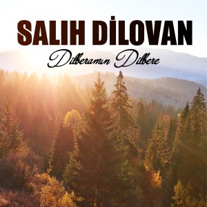 Album Dilberamın Dilbere from Salih Dılovan