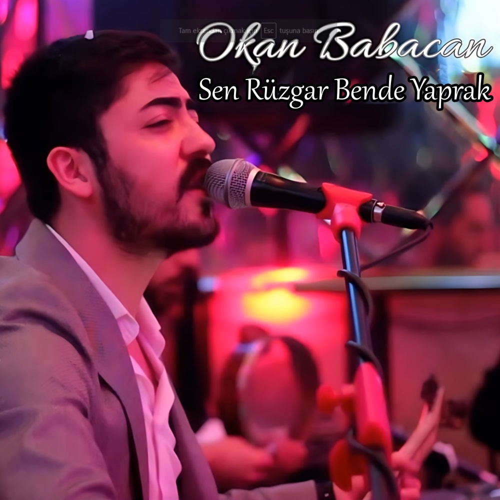 Sen Rüzgar Bende Yaprak