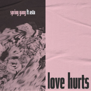 收聽spring gang的Why Do Love like This Hurt歌詞歌曲