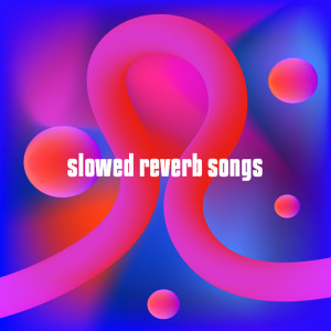 Various Artists的專輯slowed reverb songs (Explicit)