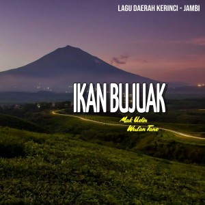 Listen to Ikan Bujuak song with lyrics from Mak Udin
