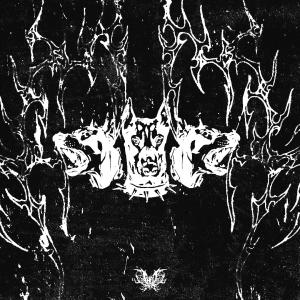 收聽Phoz的TOP DAWGS (feat. NEEDLEGUTS) (Explicit)歌詞歌曲