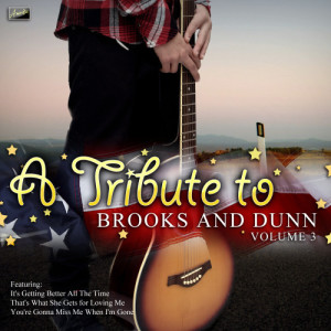 ดาวน์โหลดและฟังเพลง You're Gonna Miss Me When I'm Gone พร้อมเนื้อเพลงจาก Ameritz Tribute Club
