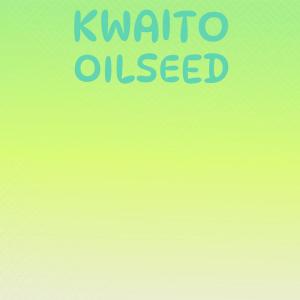 อัลบัม Kwaito Oilseed ศิลปิน Various