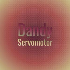 Various的专辑Dandy Servomotor