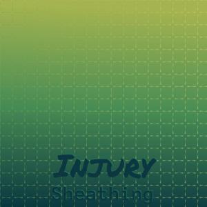 ดาวน์โหลดและฟังเพลง Injury Sheathing พร้อมเนื้อเพลงจาก Keneil Zuher