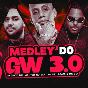 Listen to Medley do GW 3.0 (Explicit) song with lyrics from Dj David MM