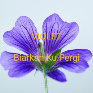 Listen to Biarkan Ku Pergi song with lyrics from Violet