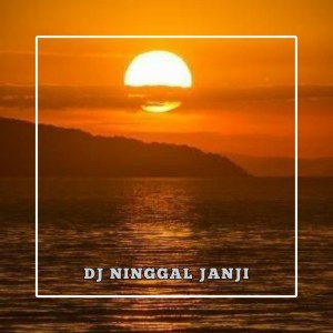 Listen to Ninggal janji song with lyrics from DJ Unknown