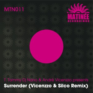 Andre Vicenzzo的專輯Surrender (Vincenzzo & Silco Remix)