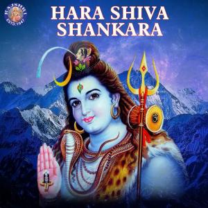 ดาวน์โหลดและฟังเพลง Shiv Tandav Stotra พร้อมเนื้อเพลงจาก Rajalakshmee Sanjay