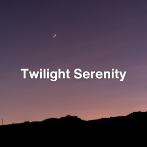 Album Twilight Serenity from Self Care Meditation