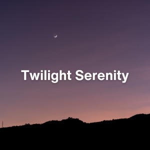 Self Care Meditation的专辑Twilight Serenity