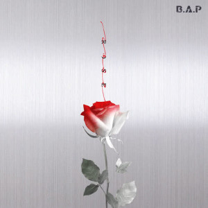 B.A.P的专辑ROSE