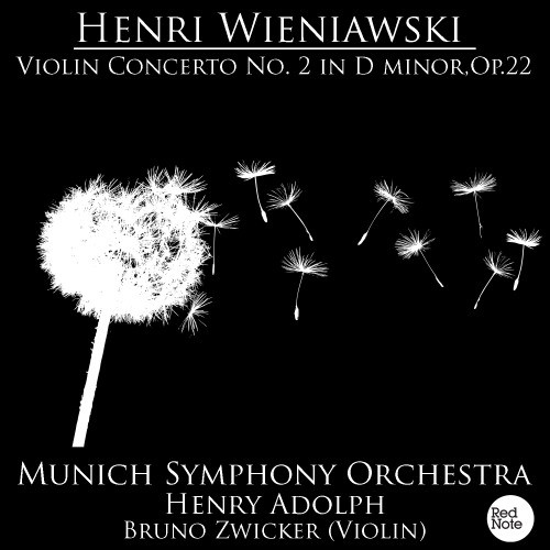 Violin Concerto No.2 in D Minor, Op.22: II. Romance: Andante non troppo