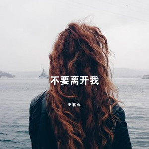 收聽王軾心的不要離開我歌詞歌曲