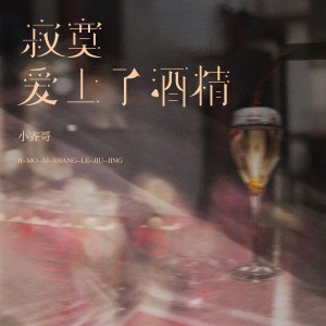 Album 寂寞爱上了酒精 from 