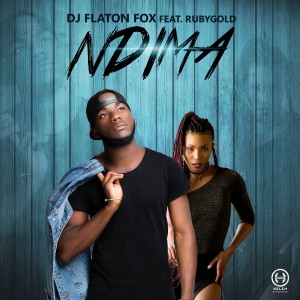 Listen to Ndima song with lyrics from DJ Flaton Fox