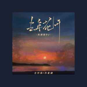 Dengarkan lagu 去年花开 (抖音热搜版DJ) nyanyian 王忻辰 dengan lirik
