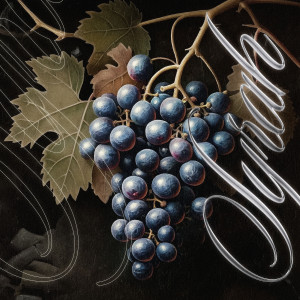 Album Syrah (Explicit) from 