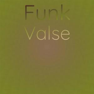 Various的专辑Funk Valse