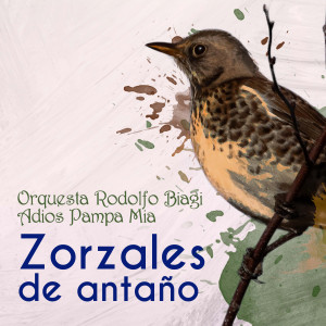 Orquesta Rodolfo Biagi的專輯Zorzales de Antaño - Orquesta Rodolfo Biagi - Adios Pampa Mia