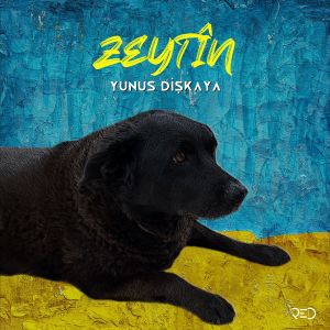 收听Yunus Dişkaya的Ji Pisik û Birûskan Natirsim歌词歌曲