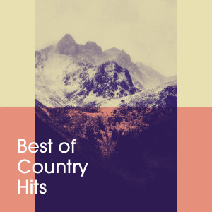 American Country Hits的專輯Best of Country Hits