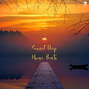 Listen to Take Me Back(feat. Guitk) song with lyrics from Sterkøl