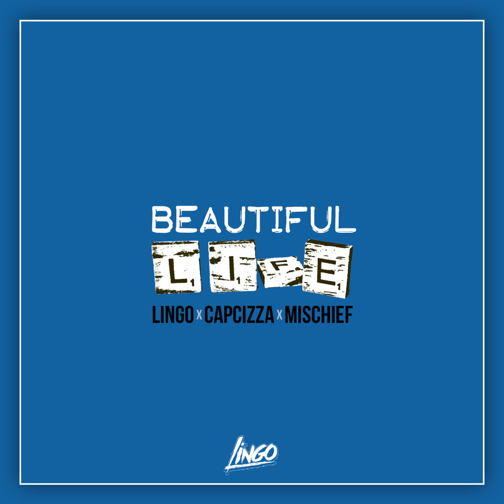 Beautiful Life (Explicit)