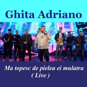 Listen to Ma topesc de pielea ei mulatra (Live) song with lyrics from Ghita Adriano