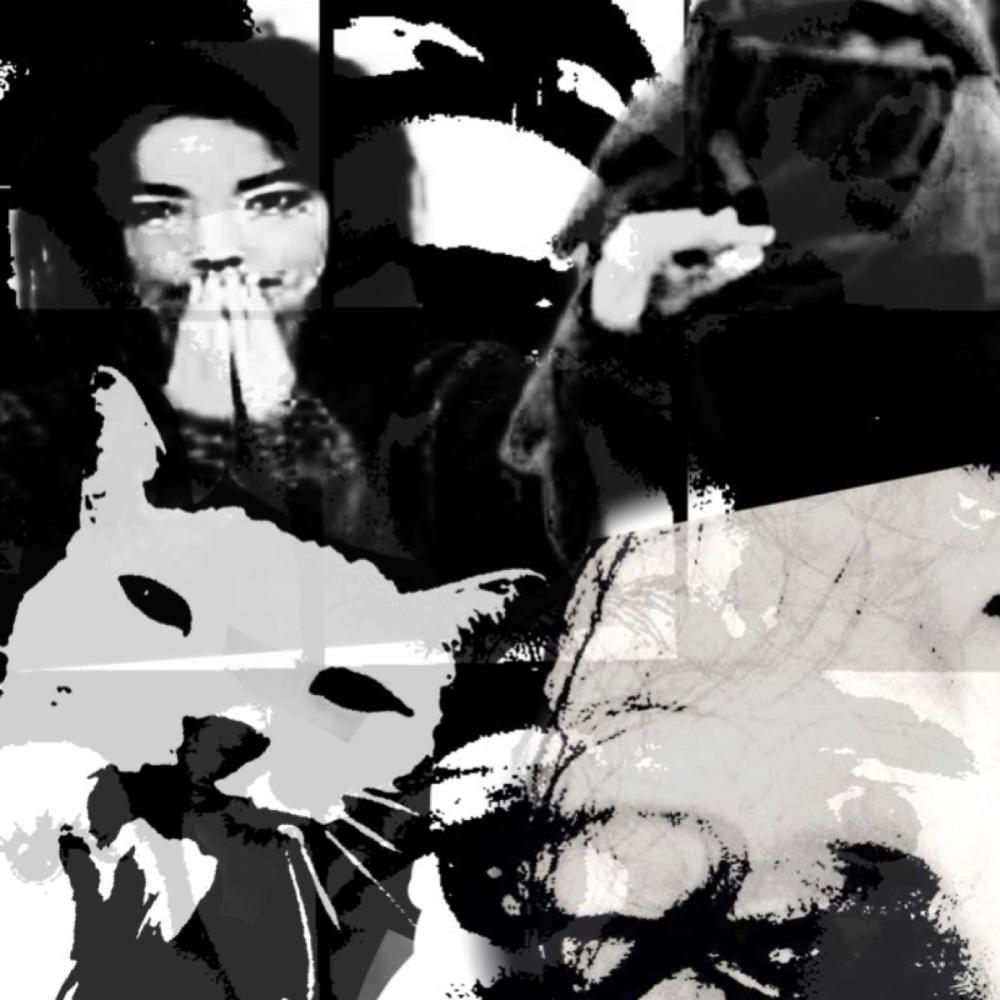 all i know (feat. trisalyx) (Explicit)