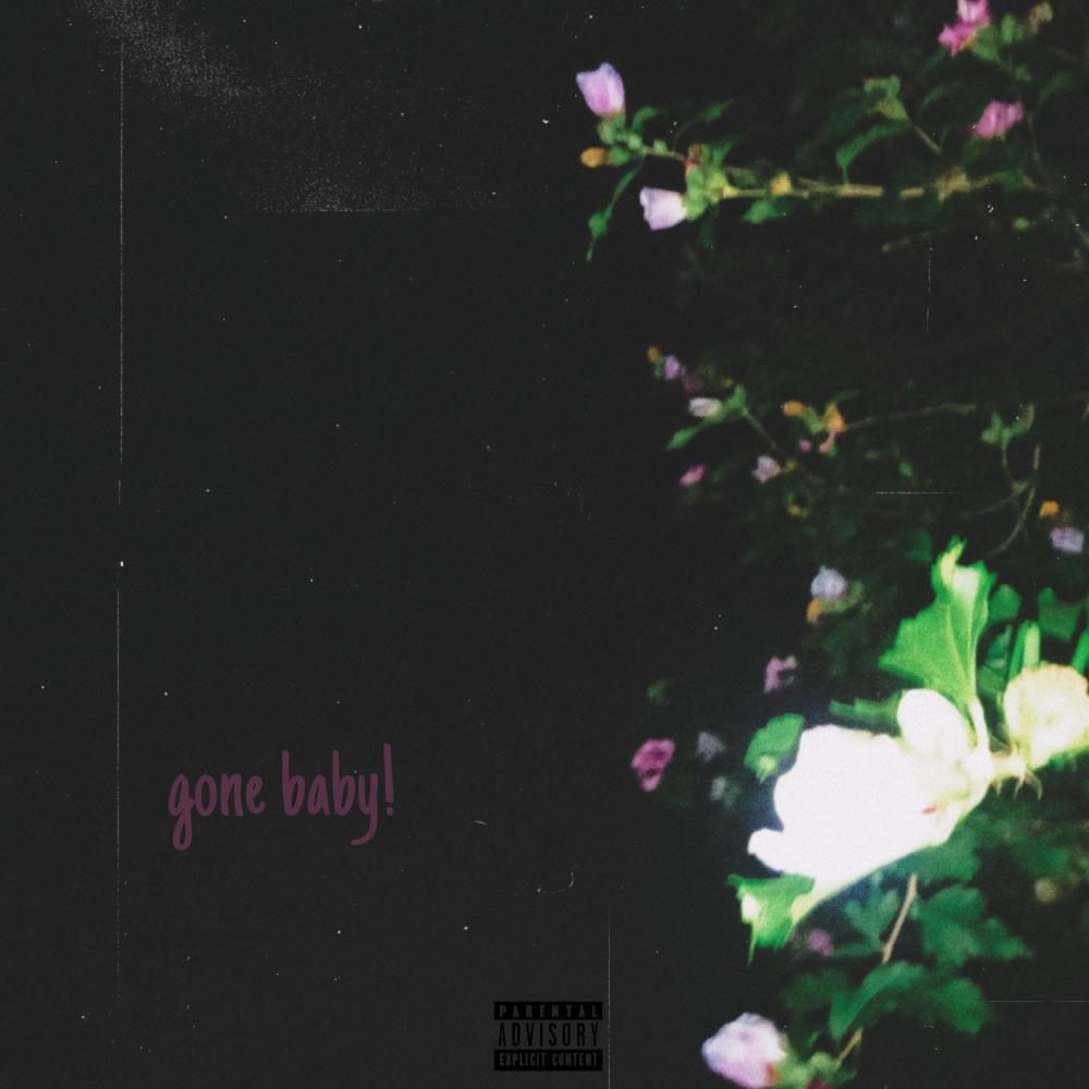 gone baby! (Explicit)
