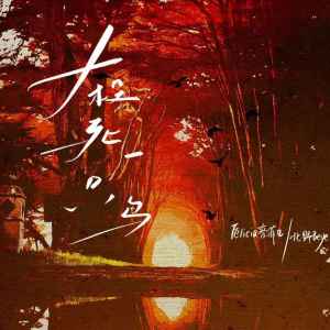 Album 杀死一只鸟 from Felicia蔡菲凡