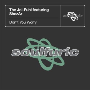 อัลบัม Don't You Worry (feat. ShezAr) ศิลปิน The Joi-Fuhl