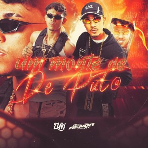 Album UM MONTE DE PUTA (Explicit) from MC Menor MT