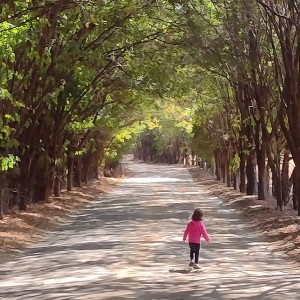 ดาวน์โหลดและฟังเพลง Se Esta Rua Fosse Minha พร้อมเนื้อเพลงจาก Thiago Nani