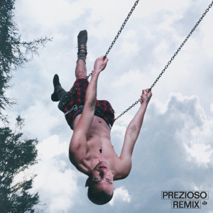 Prezioso的專輯Dizzy (Prezioso Remix)
