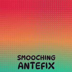 Various的专辑Smooching Antefix