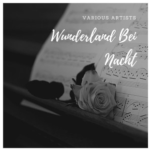 Dengarkan lagu Hohe Tannen nyanyian Marianne Vasel dengan lirik