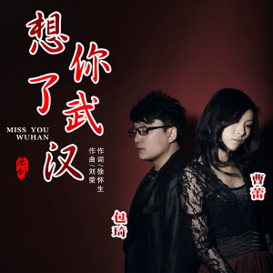 Listen to 想你了,武汉 (伴奏) song with lyrics from 包琦