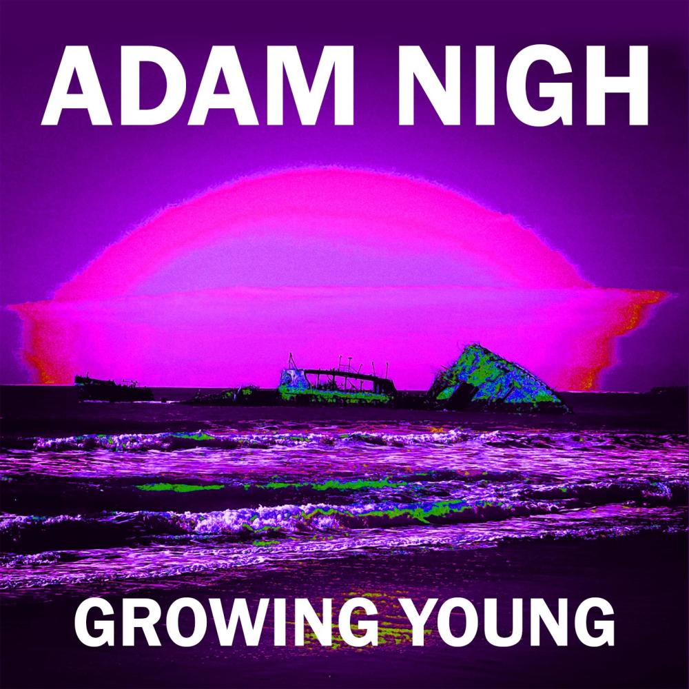Shaking My Fist At Clouds (feat. Sam Skelton, Jason Ragan & Rachel Nigh) (Acoustic Version)