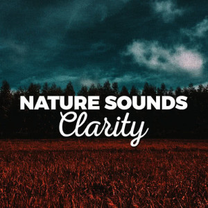 Nature Sounds Clarity