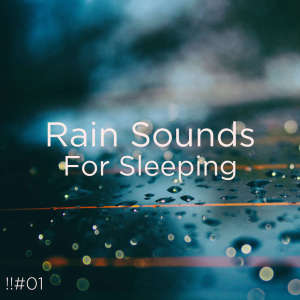 Dengarkan lagu Light Tent Rain nyanyian Rain Sounds dengan lirik