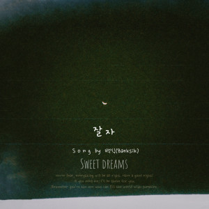 อัลบัม 잘자 ศิลปิน Baeksik