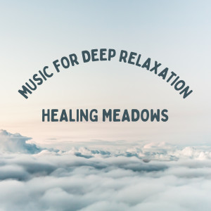 Mind of Peace的專輯Healing Meadows: Music for Deep Relaxation