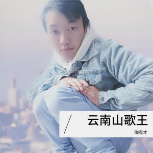 陶有才的专辑云南山歌王 (陶有才版)