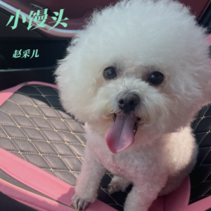 Listen to 小馒头 (完整版) song with lyrics from 赵采儿