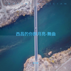 Album 西昌的你醉月亮 (勿忘我舞曲) from 张力庭