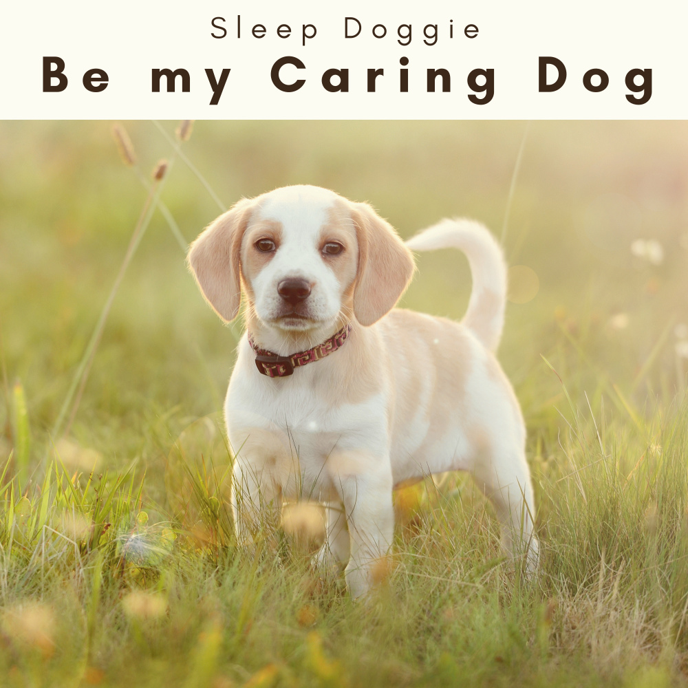 Calming Melodies for Spoiled Pup